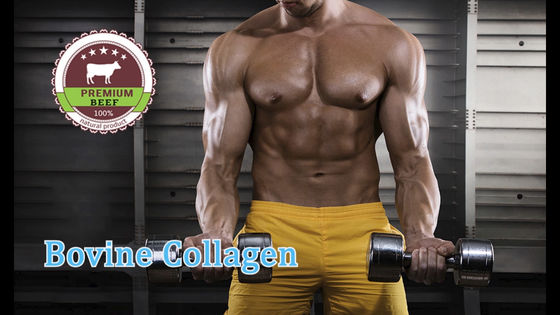 HALAL Dried Bovine Macromolecular Hydrolyzed Collagen Powder