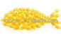 CAS 9000-70-8 Fish Skin Scale Edible Fish Gelatin Powder