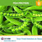 1000Dal Hydrogenated Vegetable Organic Plant Protein Powder For Energy Bar