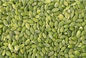 80 Meshe\S 60 Percent Organic Pumpkin Seed Protein Powder